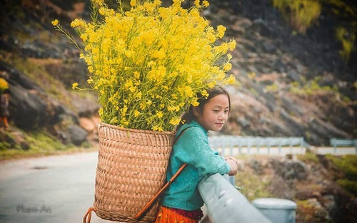 Không khí lạnh đang suy yếu dần nhưng miền Bắc vẫn rét đậm rét hại