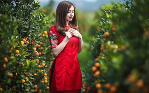 Thời tiết Tết Nguyên đán Tân Sửu 2021 sẽ ấm hơn nhiều năm