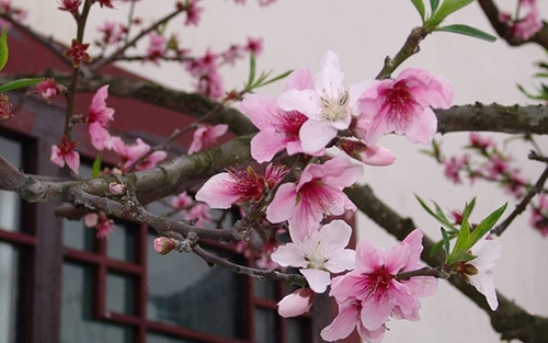 Thời tiết hôm nay: Bắc Bộ và Trung Bộ mưa nhỏ trời rét