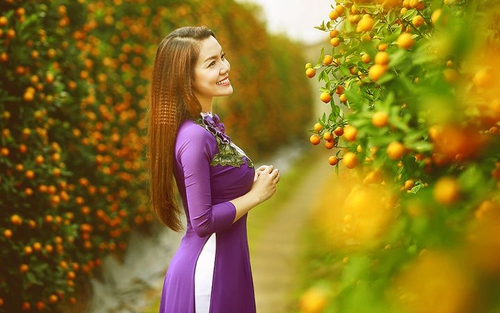 Dự báo thời tiết Tết Nguyên đán Tân Sửu