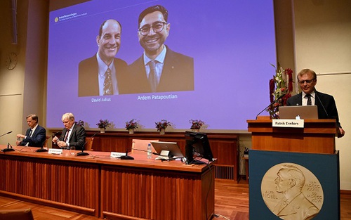 Khám phá về nhiệt độ và xúc giác đoạt giải Nobel Y sinh 2021