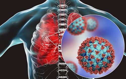 Virus SARS-CoV-2 và ảnh hưởng đến hệ thống sinh sản nam giới