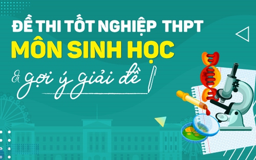 Đề thi môn Sinh học tốt nghiệp THPT quốc gia 2022