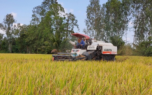 Đồng Tháp nhân rộng 19 mô hình sản xuất nông nghiệp hiệu quả