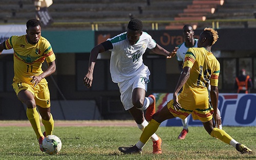 Soi kèo nhà cái Zimbabwe vs Guinea. Nhận định, dự đoán bóng đá châu Phi (23h00, 18/1)