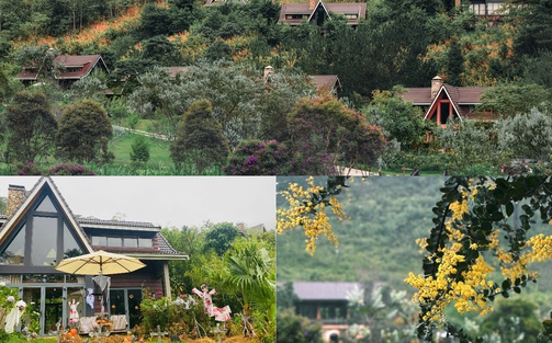 Trải nghiệm Halloween giữa rừng thu Lat Valley Reatreat Village
