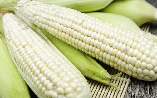 Chữ và nghĩa: Từ "ngô" đến "bắp"