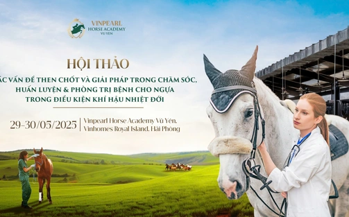 Học viện Cưỡi Ngựa Vinpearl Vũ Yên tổ chức Hội thảo chuyên sâu hàng đầu về ngựa