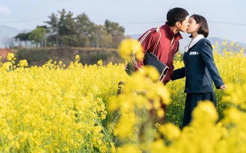 Im Sang Chun: Bí ẩn sau kịch bản vàng Baeksang "Khi cuộc đời cho bạn quả quýt"
