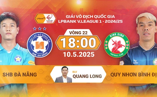 Link xem trực tiếp bóng đá Đà Nẵng vs Bình Định 18h00 hôm nay, vòng 22 V-League