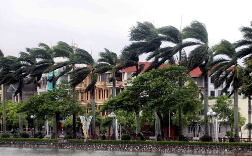 Thời tiết ngày 14/9: Cao nguyên Trung Bộ và Nam Bộ mưa lớn
