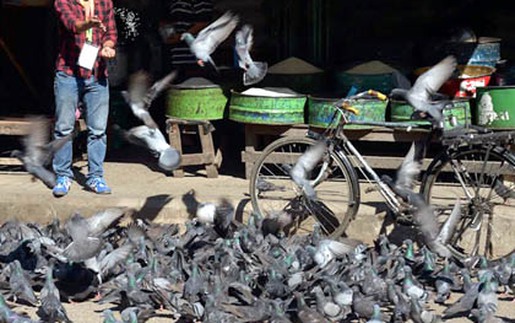 Vỉa hè Yangon