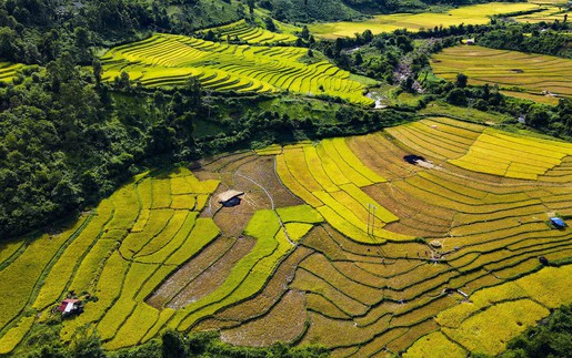 Tiềm năng du lịch khám phá nơi biên giới Mường Nhé