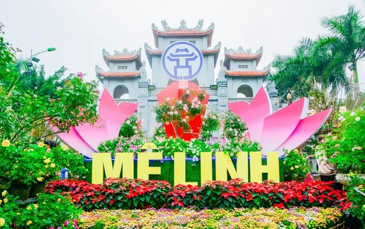 Festival Hoa Mê Linh 2024: Cơ hội vàng để nâng tầm du lịch và kinh tế địa phương