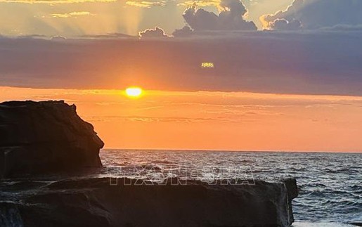 Vẻ đẹp mùa Xuân ở Australia – Khi thiên nhiên thức giấc trong sắc tím và vàng