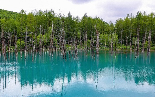 Nhật Bản: Hồ Xanh ở Hokkaido lấp lánh trong lễ hội ánh sáng