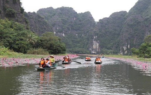 Mùa hoa súng nơi miền di sản