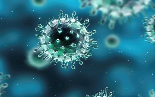 WHO: Virus cúm A chiếm ưu thế trong mùa cúm toàn cầu