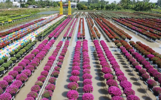 Vì một miền quê đáng sống: Thăm làng hoa lớn nhất miền Tây