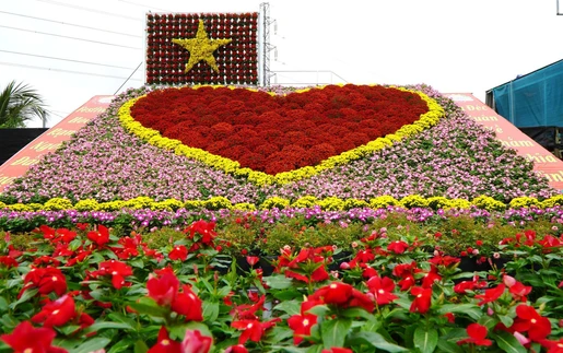 "Trái tim" khổng lồ làm từ 1.600 chậu hoa tươi ở Làng hoa Sa Đéc