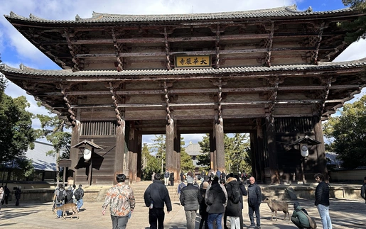 Nara: Thành phố cổ đầu tiên của Nhật Bản, nơi thời gian như lắng lại 