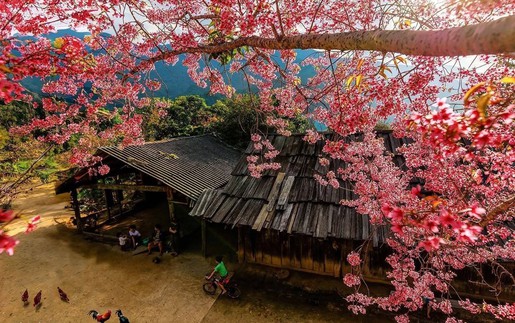 Nghệ An - điểm đến hút khách dịp Tết Dương lịch 2026