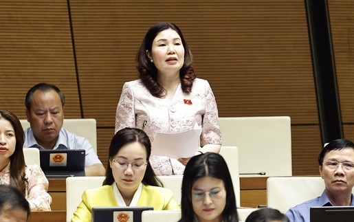 Kỳ họp thứ 9, Quốc hội khóa XV: Thảo luận về mô hình Tòa án 3 cấp