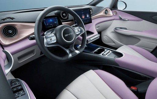 Xe điện BYD đổi làn sang phân khúc xe dịch vụ cao cấp ở Việt Nam