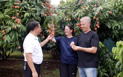 Việt Nam đón hơn 9,2 triệu khách quốc tế, lọt top tìm kiếm du lịch châu Á