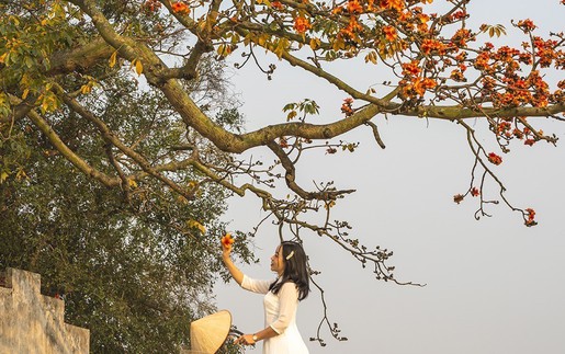 Ngẫm ngợi cuối tuần: Trở về với mùa hoa
