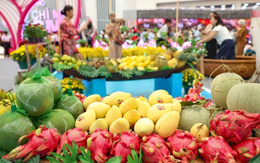 Du lịch phương Nam thu nhỏ qua các gian trưng bày đặc sắc tại Triển lãm thành tựu Đất nước
