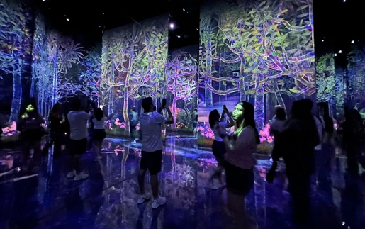 Khám phá “thiên đường ánh sáng” kỳ ảo teamLab Planets ở Tokyo