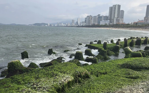Thu phí tham quan vịnh Nha Trang từ ngày 25/9/2025