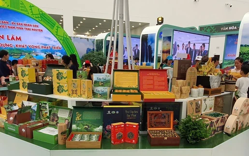 Triển lãm thành tựu đất nước: Du lịch các tỉnh thành qua 34 gian trưng bày
