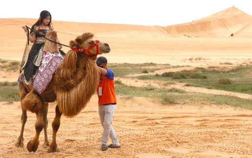 Xây dựng Khu du lịch quốc gia Mũi Né thành điểm đến hàng đầu khu vực châu Á - Thái Bình Dương