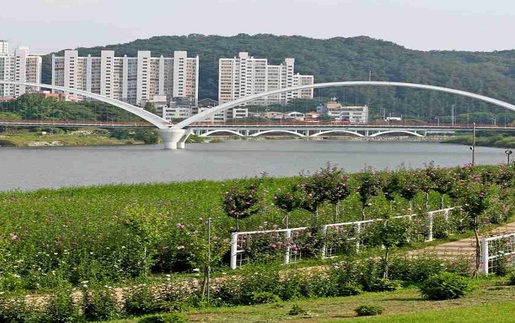 Hàn Quốc: Lần đầu có khu văn hóa ẩm thực thế giới trên cầu đi bộ