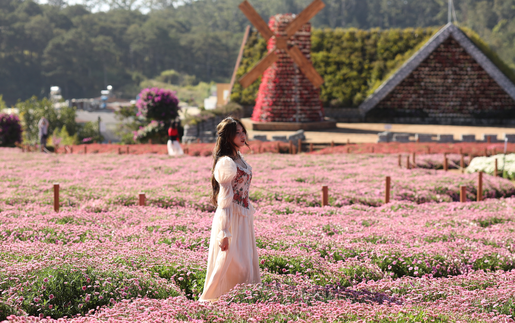 Top 4 khách sạn Đà Lạt giá rẻ trên Traveloka, tiện nghi, giá "dễ thở"