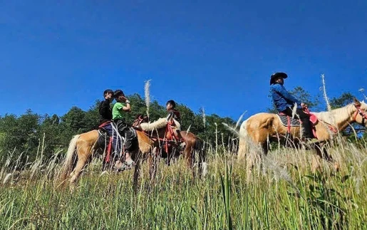 Cưỡi ngựa trải nghiệm Cực Bắc - Sản phẩm du lịch độc đáo