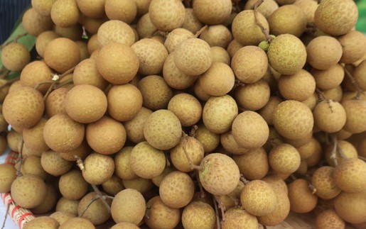 Nhãn lồng Hưng Yên, lươn Nghệ An thành di sản văn hóa phi vật thể quốc gia