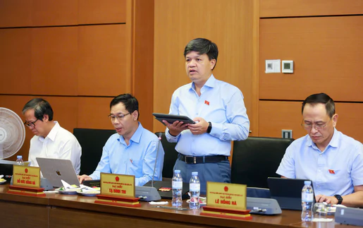 Góp ý sửa đổi Luật Du lịch, Đại biểu Quốc hội đề nghị có cơ chế đầu tư ưu đãi cho du lịch biển đảo