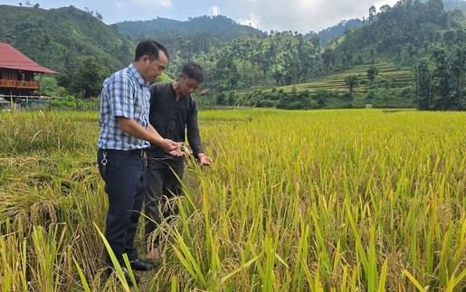 Vì một miền quê đáng sống: "Bản Liền xanh" gọi bước chân du khách