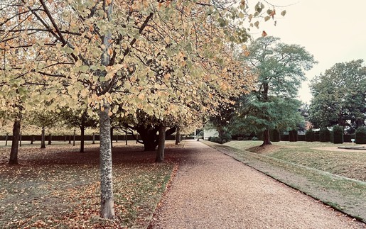Ba thế kỷ lắng đọng trong vườn cổ Chiswick House ở London