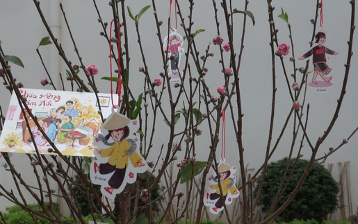 Ngắm hoa Tết - Gửi gắm ước vọng đầu Xuân