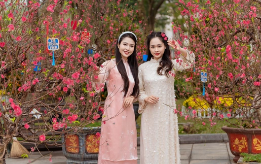 Ngắm đào cổ, xin chữ ông đồ dịp Tết tại không gian hoa Xuân ở Hồ Hoàn Kiếm