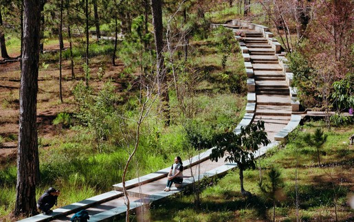 Trường Đại học Đà Lạt - Điểm đến lý thú dành cho du khách