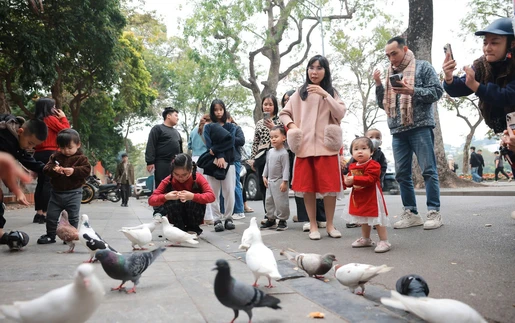 Tết Nguyên đán Bính Ngọ: Du lịch khởi sắc, đón 14 triệu lượt khách