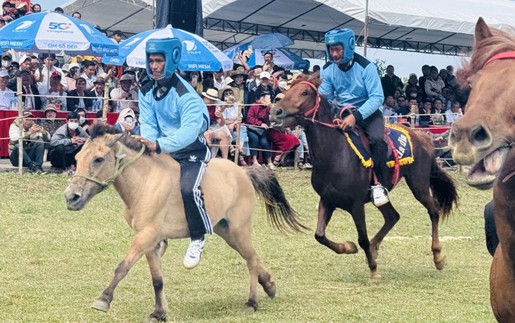 Kỵ mã thồ hàng tham gia tranh tài Hội đua ngựa truyền thống gò Thì Thùng