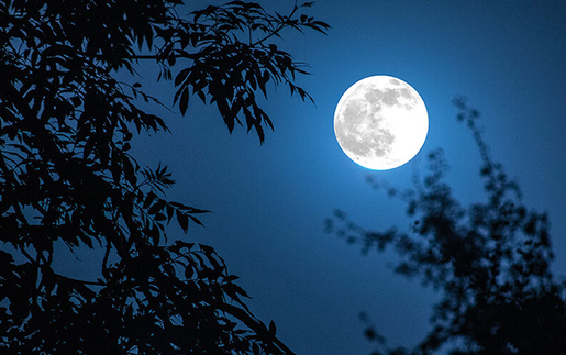 Chào tuần mới: "Cột mốc" rằm tháng Giêng