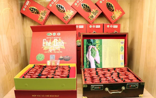 Nâng tầm thương hiệu chè Thái Nguyên gắn với du lịch và văn hóa trà