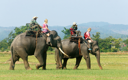 Buôn Ma Thuột có gì chơi? Những địa điểm đẹp và độc đáo giữa lòng Tây Nguyên